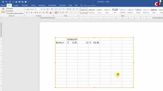 Excel werkblad gebruiken in Word [upl. by Brodsky]