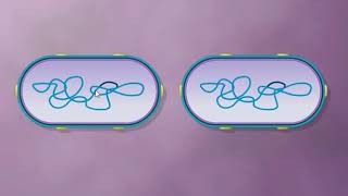 Generalized VS Specialized Transduction [upl. by Nolava]