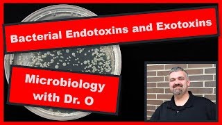 Bacterial Endotoxins and Exotoxins Microbiology [upl. by Etteuqram1]