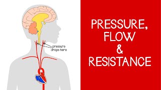 42 Cardiovascular Pressure Flow and Resistance [upl. by Swords]