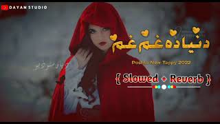 Pashto New Songs  Slowed Reverb 2022  ‎Lewanymusic696 [upl. by Melton153]