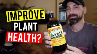 Molasses For Plants How To Feed amp When [upl. by Aholah]