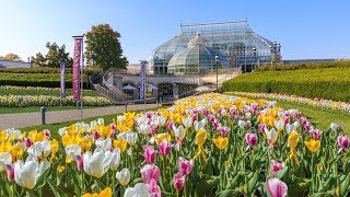 Welcome to Phipps Conservatory and Botanical Gardens [upl. by Oelgnaed]