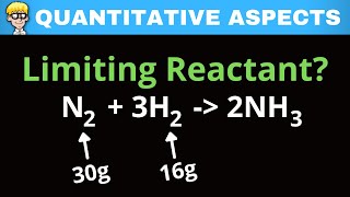 Limiting Reactant Grade 11 Practice [upl. by Ateuqahs]