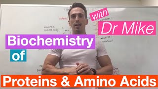 Proteins amp Amino Acids  Biochemistry [upl. by Eilema461]