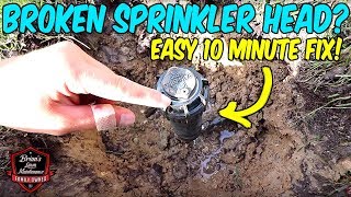 How To Easily amp Quickly Replace A Broken Sprinkler Head [upl. by Airdna]