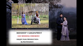 Wedding Ceremony Mandeep amp Gaganpreet [upl. by Tova]