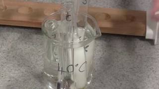 Enzyme Rate of Reaction Trypsin [upl. by Tarkany]