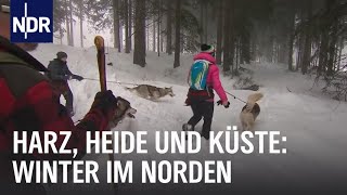 Erlebnis Winterzauber  die nordstory  NDR Doku [upl. by Bidle]