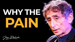 BEST Explanation of Addiction I’ve Ever Heard Dr Gabor Maté [upl. by Ehrlich523]