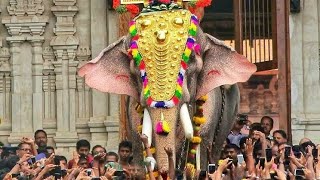 Kaanthaa Njaanum Varaam  Thrissur Pooram Song 2018 2019 [upl. by Willett]