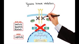 Pharmacology  CANCER DRUGS – CELL CYCLE INHIBITORS MADE EASY [upl. by Konyn]