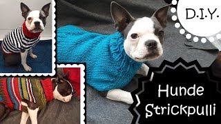 DIY  Strickpulli für Hunde  Do it youself  Anleitung [upl. by Dur]