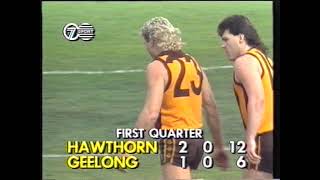 Dermott Brereton Amazing Courage 1989 VFLAFL Grand Final [upl. by Vescuso145]