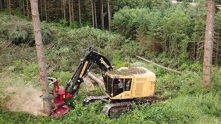 Chilton Logging Tigercat 870D Feller Buncher and Cat 558 Processor [upl. by Wilonah]