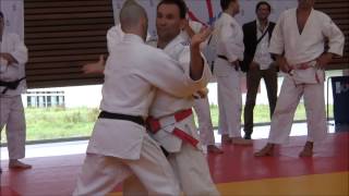 JUJITSU ETUDE 12 SÉRIES ATTAQUESDÉFENSES IMPOSEES [upl. by Schertz914]