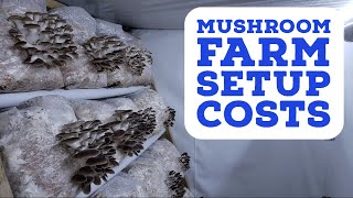 What Does It Really Cost to Setup a Mushroom Farm [upl. by Harrell]