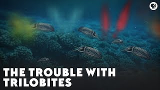 The Trouble With Trilobites [upl. by Ahseirej]