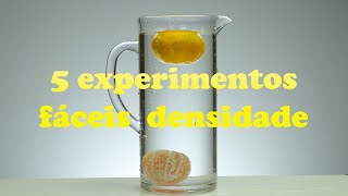 5 EXPERIMENTOS de FÍSICA densidade que você pode fazer em casa [upl. by Laro716]