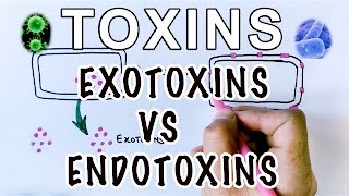 Overview of Toxins  Exotoxins Vs Endotoxins [upl. by Benyamin]