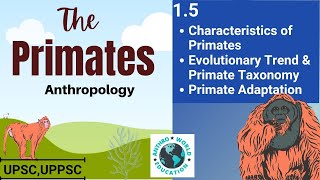 15 Characteristics of Primates Evolutionary Trend and Primate Taxonomy Primate Adaptation  UPSC [upl. by Sewel28]