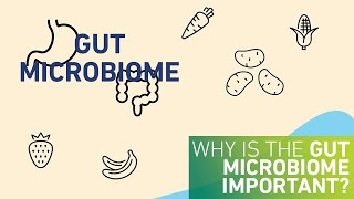 Why is the gut microbiome important [upl. by Carlie]