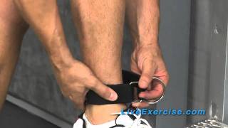 Bodylastics System Tip How to use your Ankle Strap [upl. by Michale]