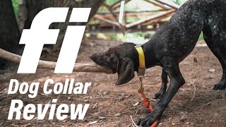 Fi Dog Collar Review  Why I Chose A GPS Dog Collar [upl. by Rraval834]