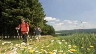 Travel Guide Rhineland Germany  Romantic Germany RhinelandPalatinate [upl. by Alebasi]