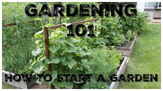 Gardening 101 How To Start A Garden [upl. by Emyaj]