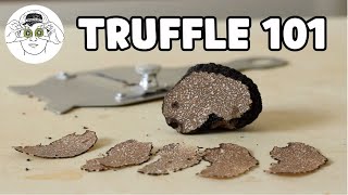 The Beginners Guide to Truffles [upl. by Baram]