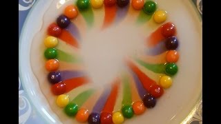 Kids Experiment  SKITTLES RAINBOW [upl. by Itsrejk]