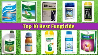 Top 10 Best Fungicide [upl. by Ihc]