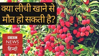 Litchi खाने से क्या मौत हो सकती है क्या ये फल इतना ख़तरनाक है BBC Hindi [upl. by Adnana]