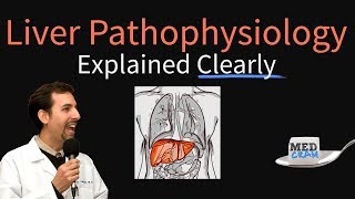 Liver Explained Clearly  Pathophysiology LFTs Hepatic Diseases [upl. by Guidotti90]