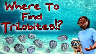 Trilobite Fossil Hunting Extravaganza [upl. by Vevay]