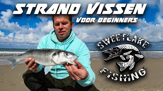 Strand vissen voor beginners  Zeebaars [upl. by Fee500]