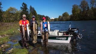 Clackamas River Steelhead [upl. by Googins]