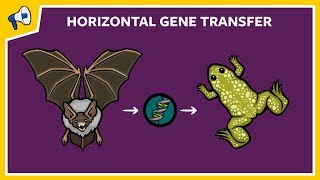 What is Horizontal Gene Transfer [upl. by Oly]