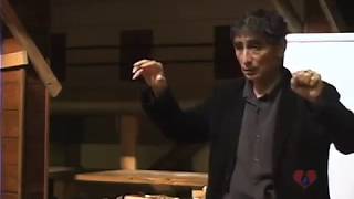 Brain Development amp Addiction with Gabor Mate [upl. by Atinahs]