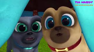 Puppy Dog Pals Hissys Big Day Episode 24  Tia Hardy [upl. by Ziza]