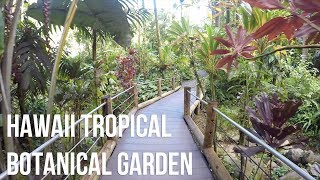 Hawaii Tropical Botanical Garden  Virtual Tour [upl. by Nagol]