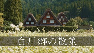 【日本三大秘境】白川郷の散策  Walking Around Shirakawago（Gifu Japan） [upl. by Yaresed179]