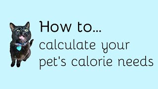 How to calculate your pets calorie needs [upl. by Intyre729]