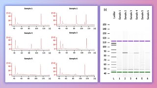 Forensic DNA Profiling Part I [upl. by Missak]