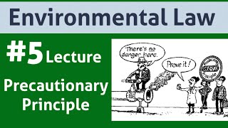 Environmental Law Lecture 5Precautionary Principle [upl. by Wedurn]