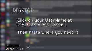 Find Your Discord Username Tag [upl. by Markowitz]