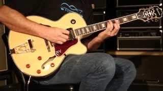 Epiphone Joe Pass Emperor II • SN 1211211304 [upl. by Tunk969]