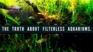 Creating A FILTERLESS AQUARIUM Using Anoxic AND Aerobic Bacteria How to Setup A Natural Fish Tank [upl. by Sel]