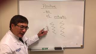 Positive visual phenomenon Part I Entoptic Migraine Occipital Seizures [upl. by Sualohcin657]